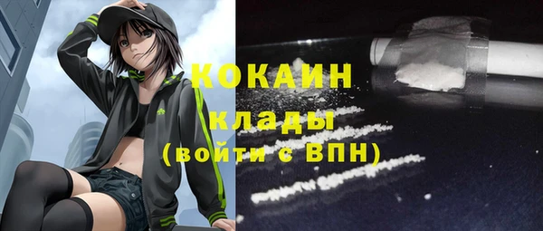 гашик Арсеньев