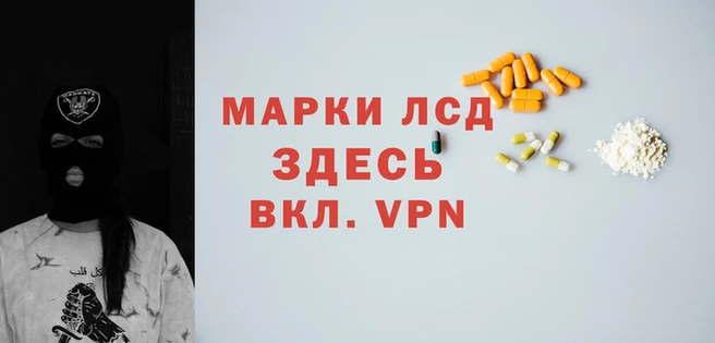 трава Аркадак