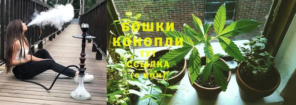 трава Аркадак