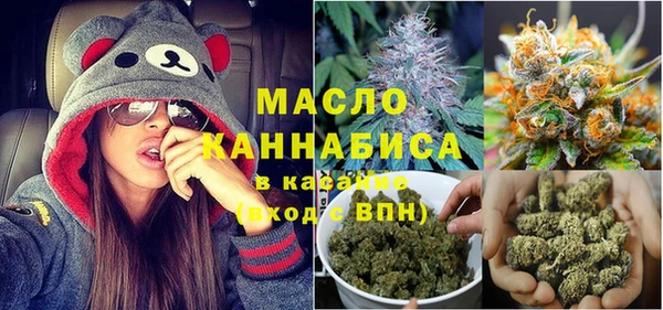 гашик Арсеньев